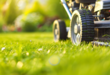 How to Keep Your Lawn Green and Healthy Year Round